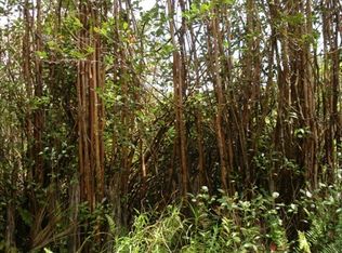 Kona St LOT 2, Mountain View, HI 96771