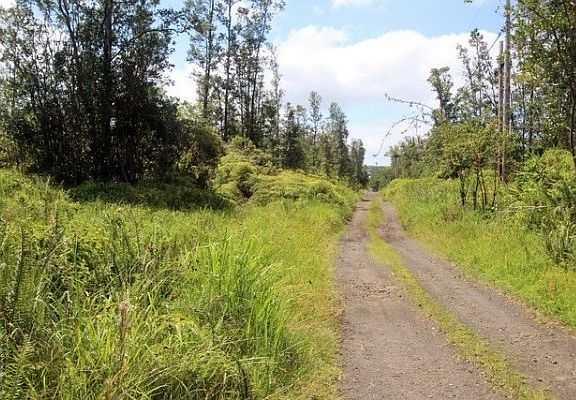 5th image of Road 10 Poouli Lot 5752