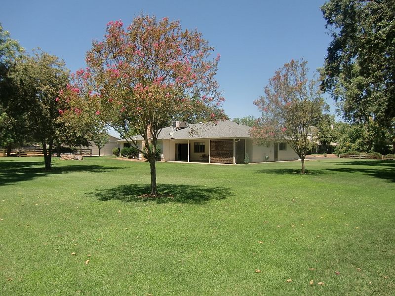 Expansive backyard