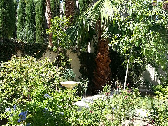 3rd image of 1313 Desert Hills Dr