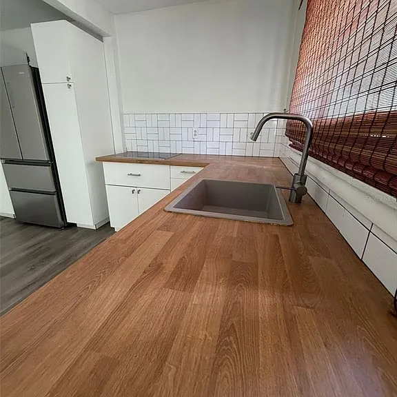 209 W Emily St — Photo 9