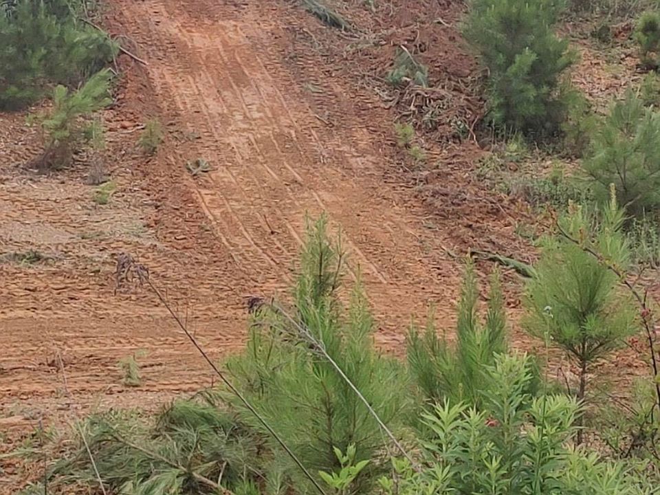 2nd image of 0 County Highway 13 #2