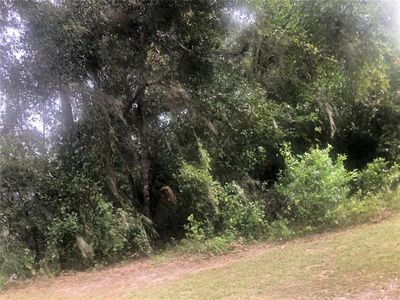 12th St Lot 12, Orange City, FL, 32763