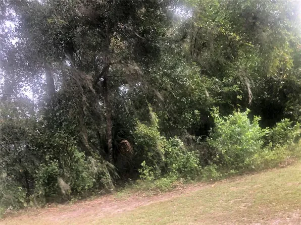 12th St Lot 12, Orange City, FL 32763