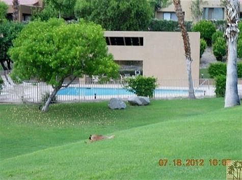 View from Great Room and Patio