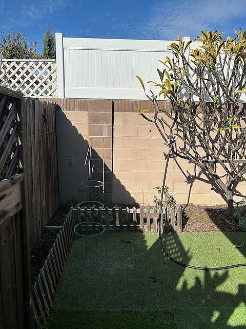 Small back yard