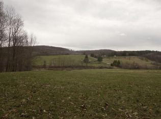 56 Moot Town Rd, Pt Crane, NY 13833