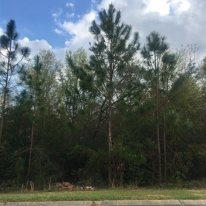 1st image of 8690 Salt Grass Dr