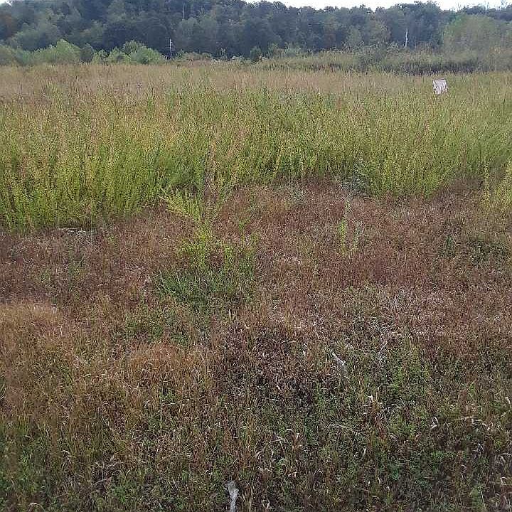 Corbin/London HWY