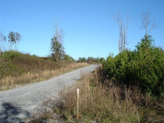 3rd image of 165 Jones Dr