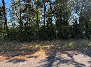 0 Old Highway 35 N, Livingston, TX 77351