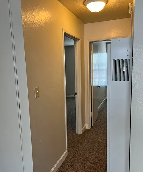 3515 Chestnut Ave #18-19 — Photo 11