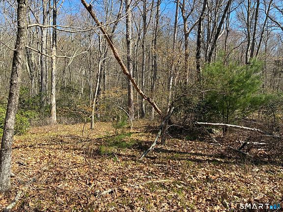 2nd image of Madison Road