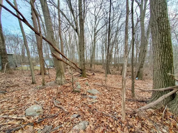 24 Birch Hill Rd, Douglas, MA 01516