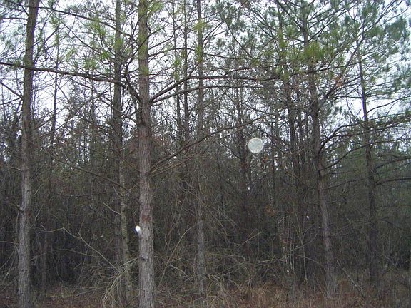 5th image of 40 Acre Tract