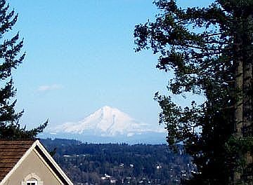 View from Deck