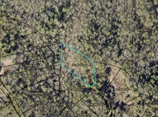 33 W Brook Ct, Ellijay, GA 30540