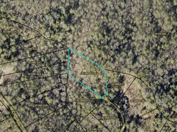 33 W Brook Ct, Ellijay, GA 30540