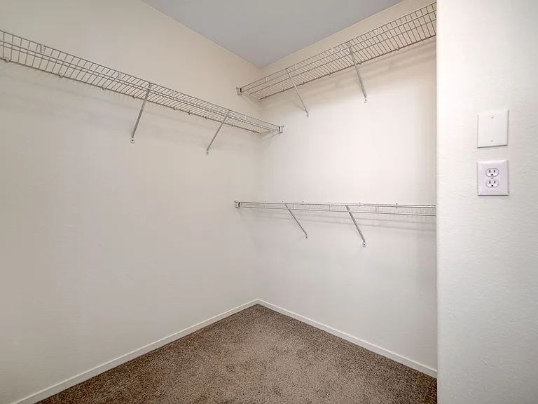10299 Caverns Mouth Dr — Photo 28