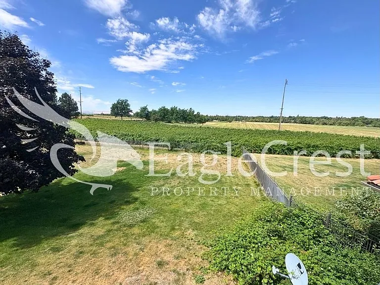 44 Vinehill Dr — Photo 100