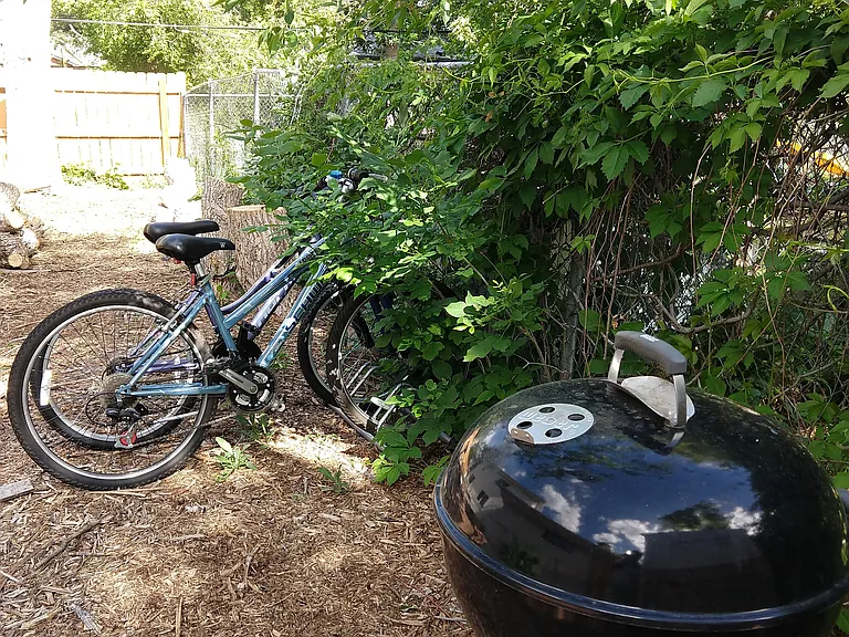 Owens St — Photo 33