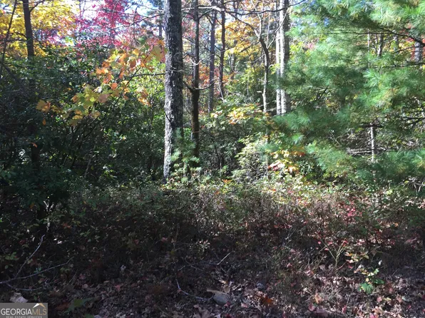 4 Mule Branch Rd, Helen, GA 30545