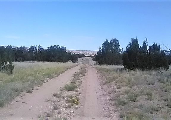 3rd image of 53447 N La Plata Dr