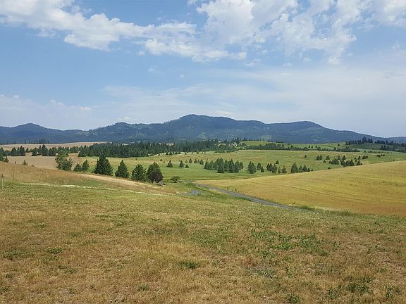 View from great room