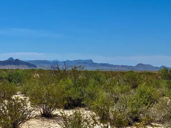 G438 Red Dawg Rd, Terlingua, TX 79852