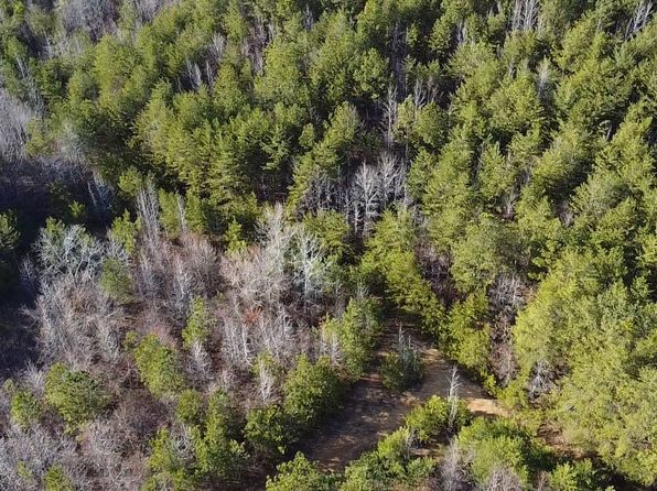 0 County Road 66, Eldridge, AL 35554