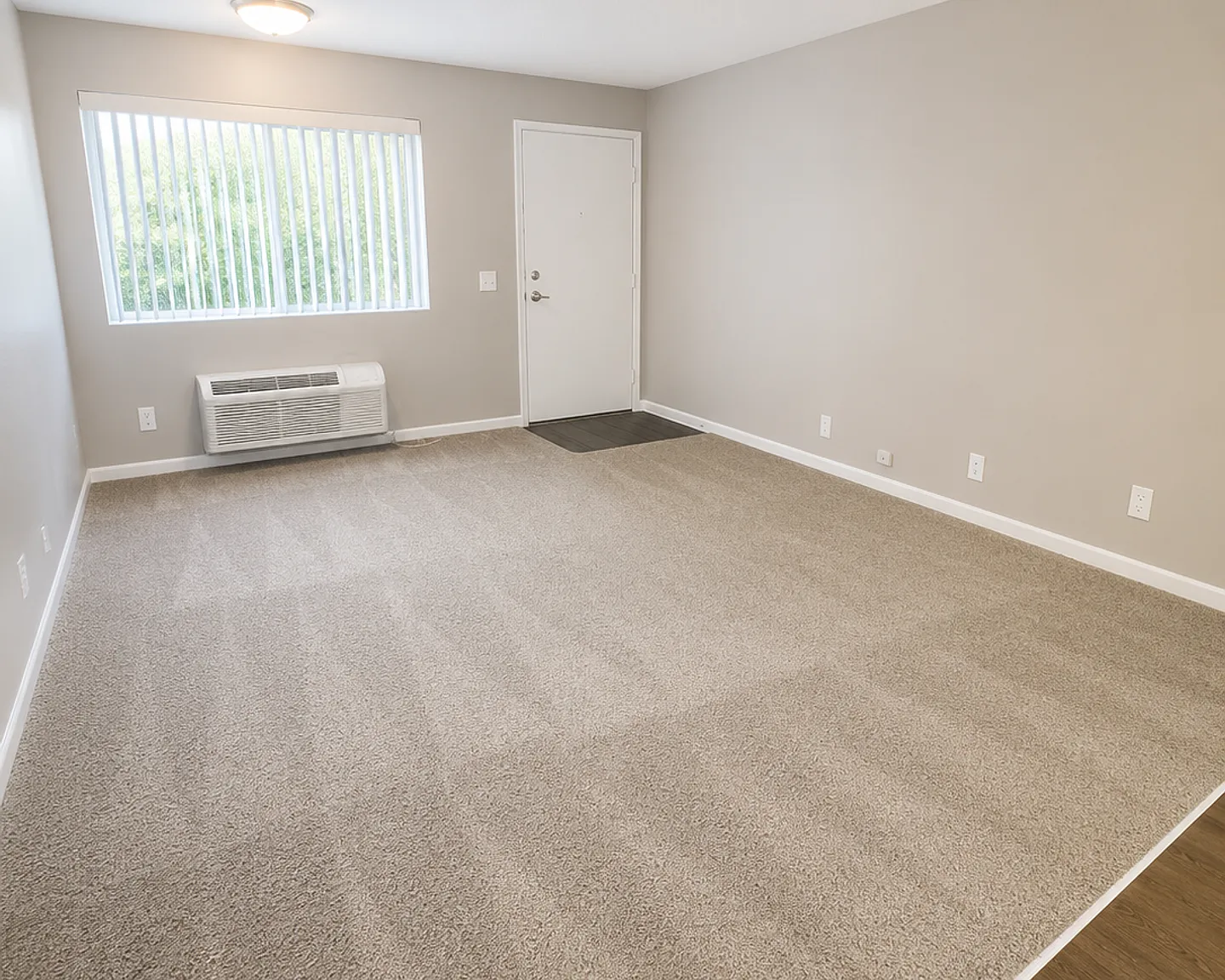 Marigold Apartments — Photo 4