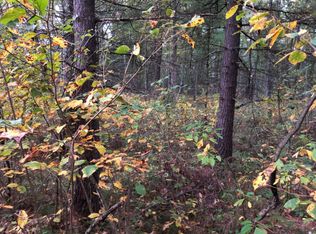 0 S 116th Ave, Rothbury, MI 49452