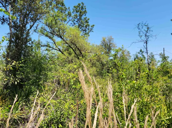 NW Green Acres Trl, Altha, FL 32421