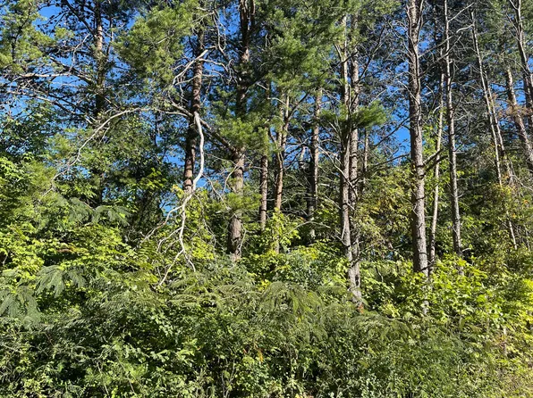 431 Adkins Trl, Winfield, TN 37892