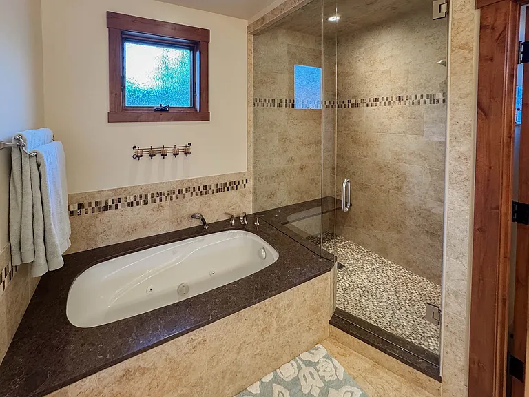 Master tub and shower