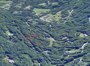 1 Green Ridge Falls Rd, Barnardsville, NC 28709