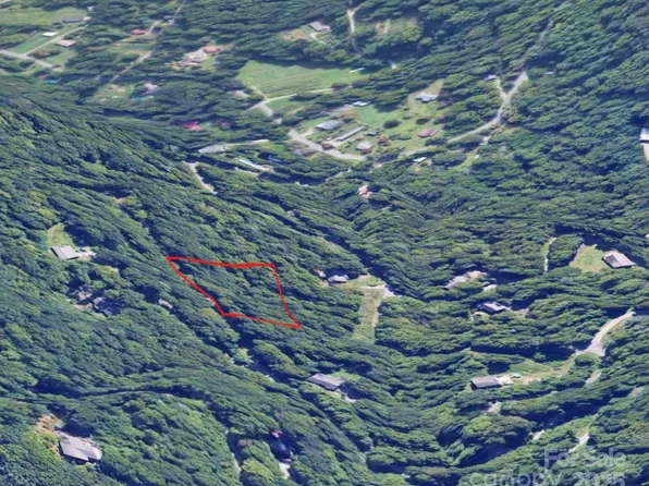 1 Green Ridge Falls Rd, Barnardsville, NC 28709