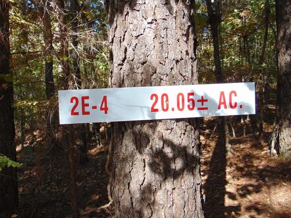 TRACT Two E 4 Charles Rd, Decatur, TN 37322