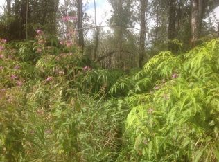 11 1988th #51, Volcano, HI 96785