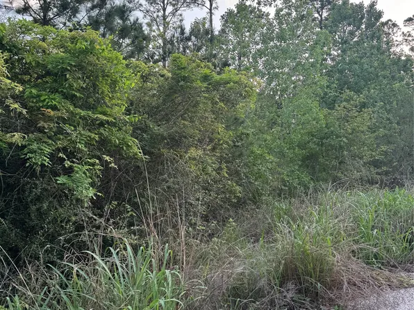 LOT 1386 N Pahihi Dr #1386, Bastrop, TX 78602