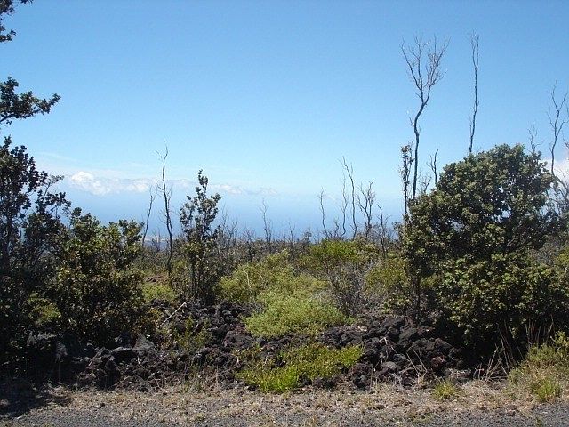 2nd image of Bamboo Ln Lot 16