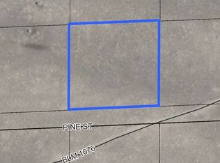 Pine St, Montello, NV 89830