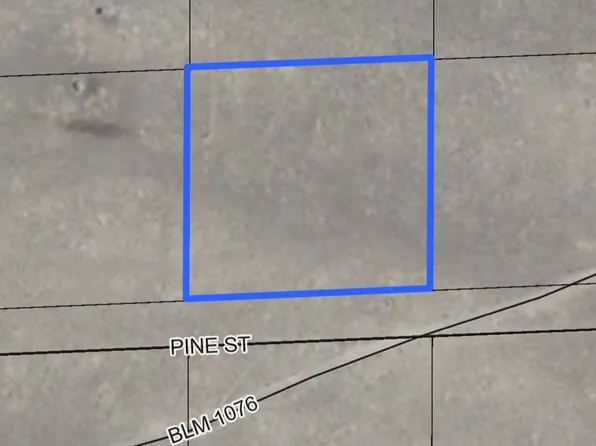 Pine St, Montello, NV 89830