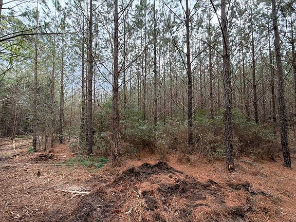 3rd image of Bff Ii 2 J C Barefoot Rd