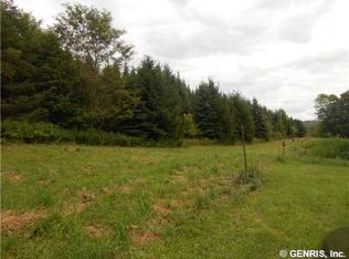 6724 Wrights Rd, Springwater, NY 14560