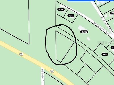 State Route 19 LOT 19, Fort Mc Coy, FL, 32134
