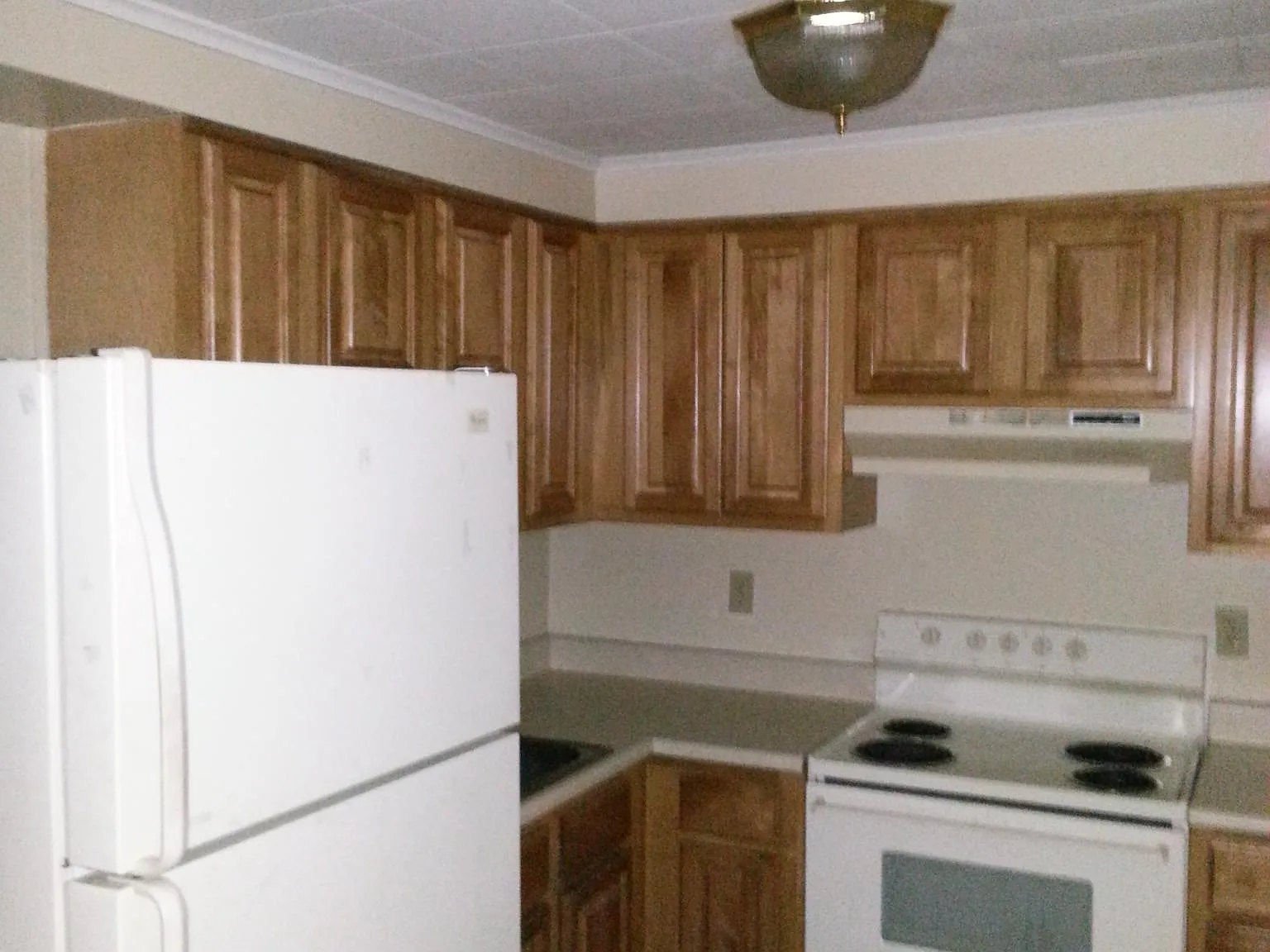 1 bed, 700 sqft, $1,250 — Photo 3
