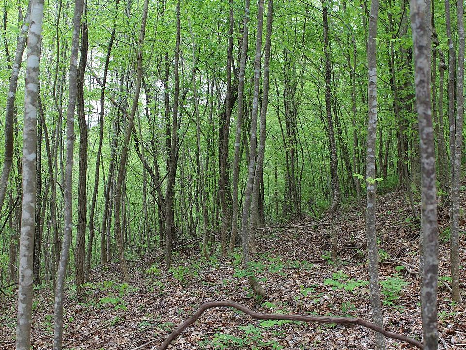 LOT 92 Shiloh Stables, Hayesville, NC 28904 MLS 324548 Zillow