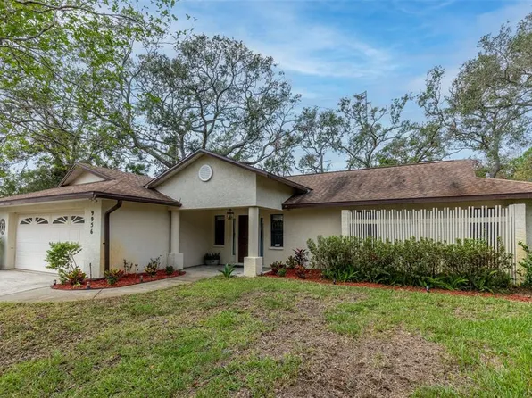 9956 Pine Lake Trl, Saint Petersburg, FL 33708