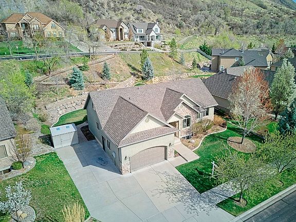 Arial View